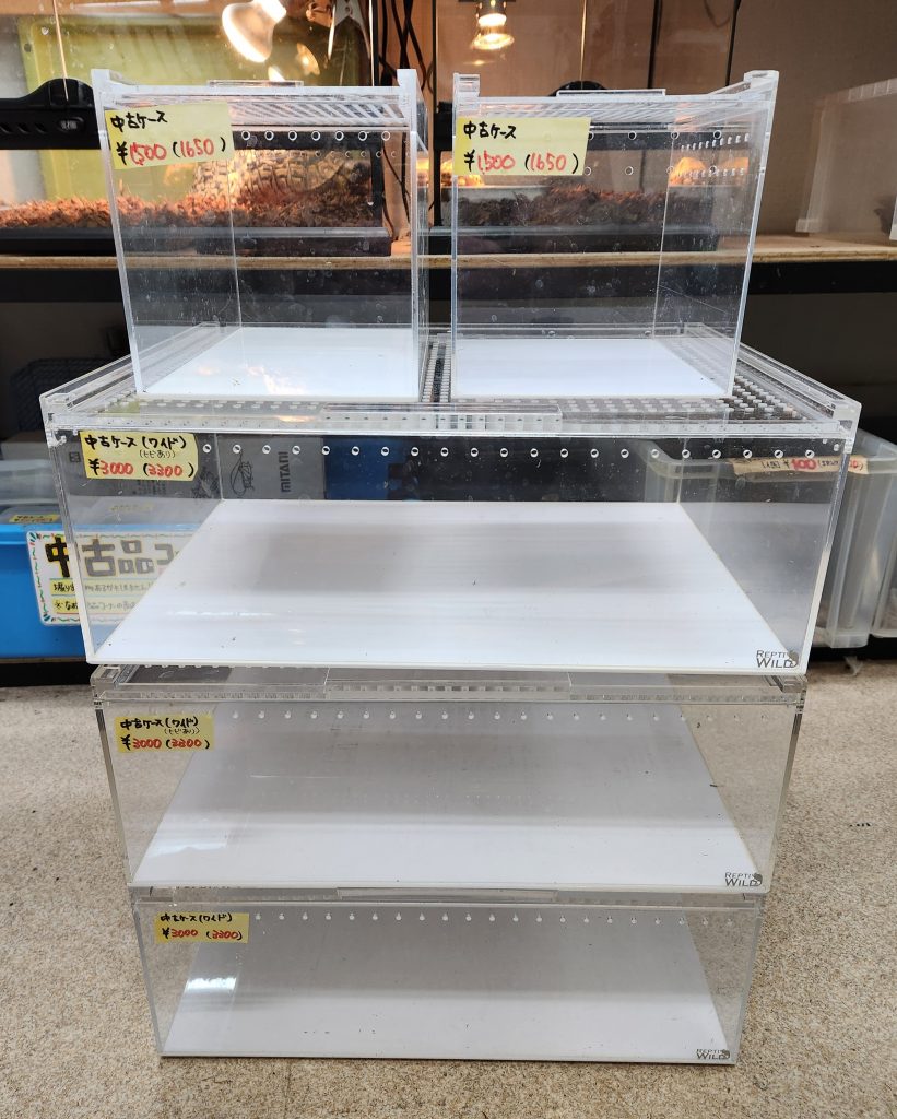 中古レプタイルボックス8個セット 中古ケース色々入荷‼️ | レプタイル